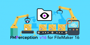 FileMaker 16 Analysis
