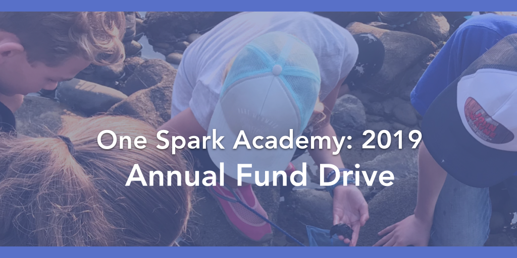 One Spark 2019 –  Education Matters