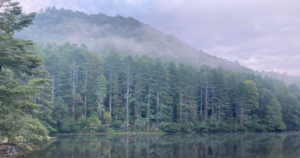 A misty photo of the mountains from PauseOnError 2023